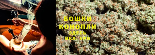 альфа пвп Гусь-Хрустальный