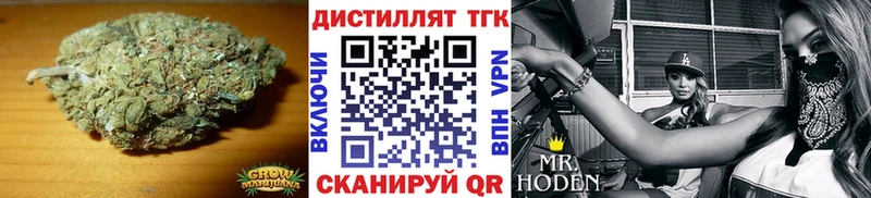 ТГК Wax Северодвинск