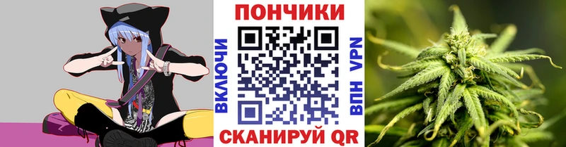 Бошки марихуана ГИДРОПОН  купить наркоту  Северодвинск 